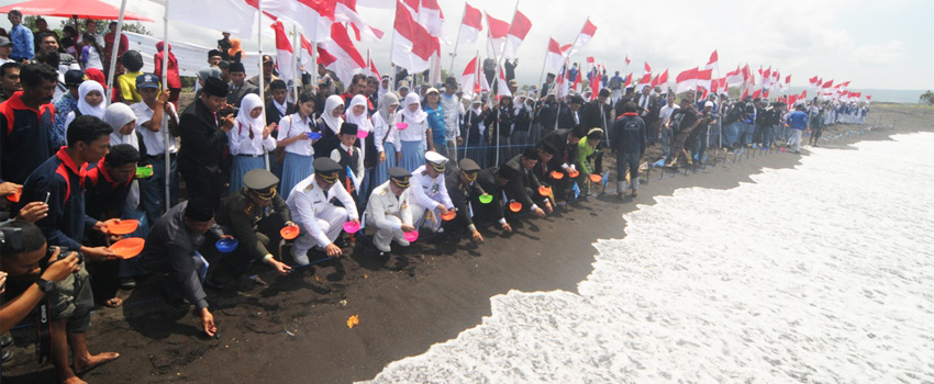 Banyuwangi Sea Turtle Foundation