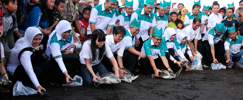 Banyuwangi Sea Turtle Foundation