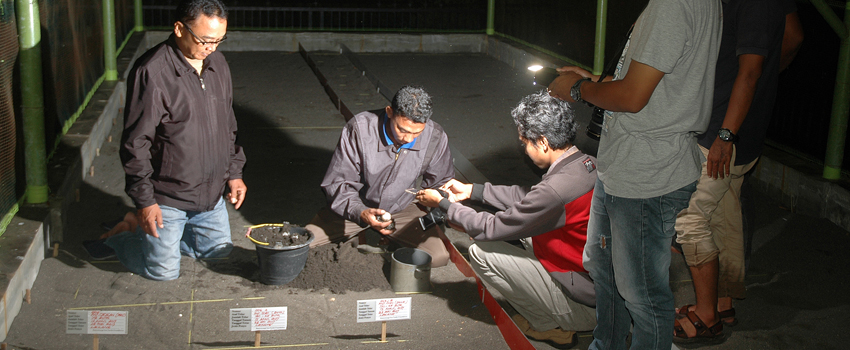 Banyuwangi Sea Turtle Foundation