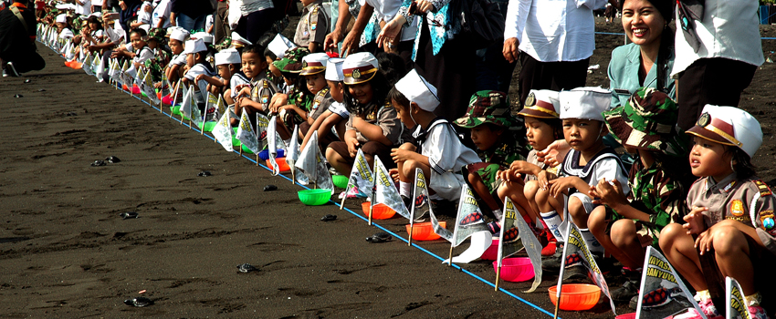 Banyuwangi Sea Turtle Foundation