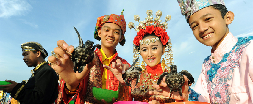 Banyuwangi Sea Turtle Foundation