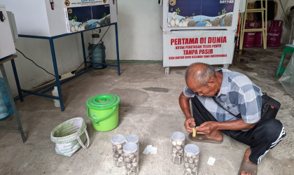 Menemukan Penyu Bertelur di Pantai Mirah