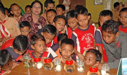 Foto 4