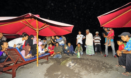 Penyelamatan Penyu 1