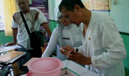 Pemeriksaan Tukik Hijau