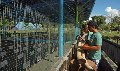 Kunjungan ProFauna