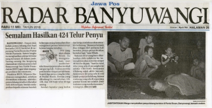 Penyu Bertelur di Pantai Boom