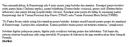 Pelepasliaran Tukik Memperingati Sumpah Pemuda