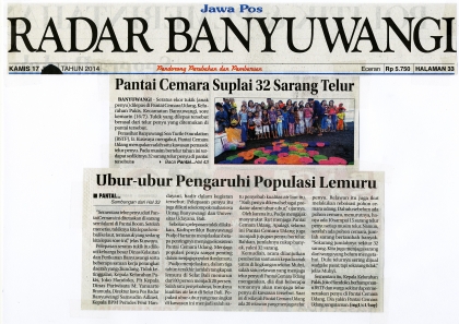 Media 1