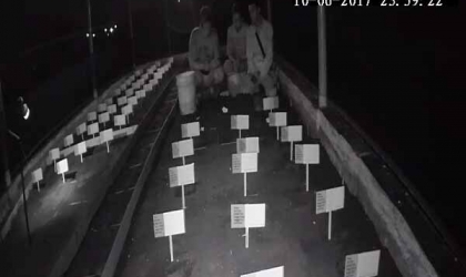 Menemukan Penyu Bertelur di Pantai Boom