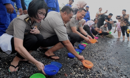 Pelepasliaran Tukik Bersama Kementerian Pendayagunaan Aparatur Negara dan Reformasi Birokrasi