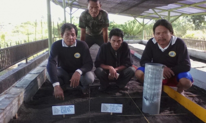 Menemukan Penyu Bertelur di Pantai Santen