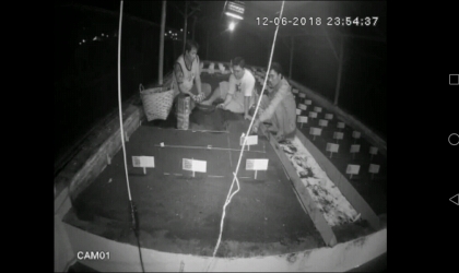 Menemukan Penyu Bertelur di Pantai Boom