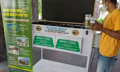 Menemukan Penyu Bertelur di Pantai Sobo